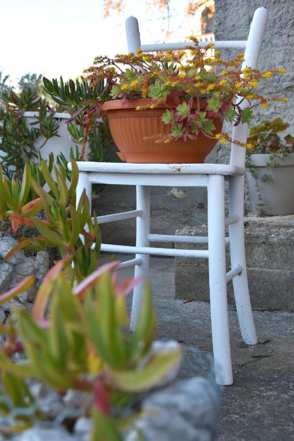 Greenvine Apartment Zadar Buitenkant foto
