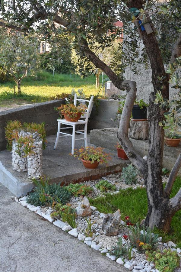 Greenvine Apartment Zadar Buitenkant foto