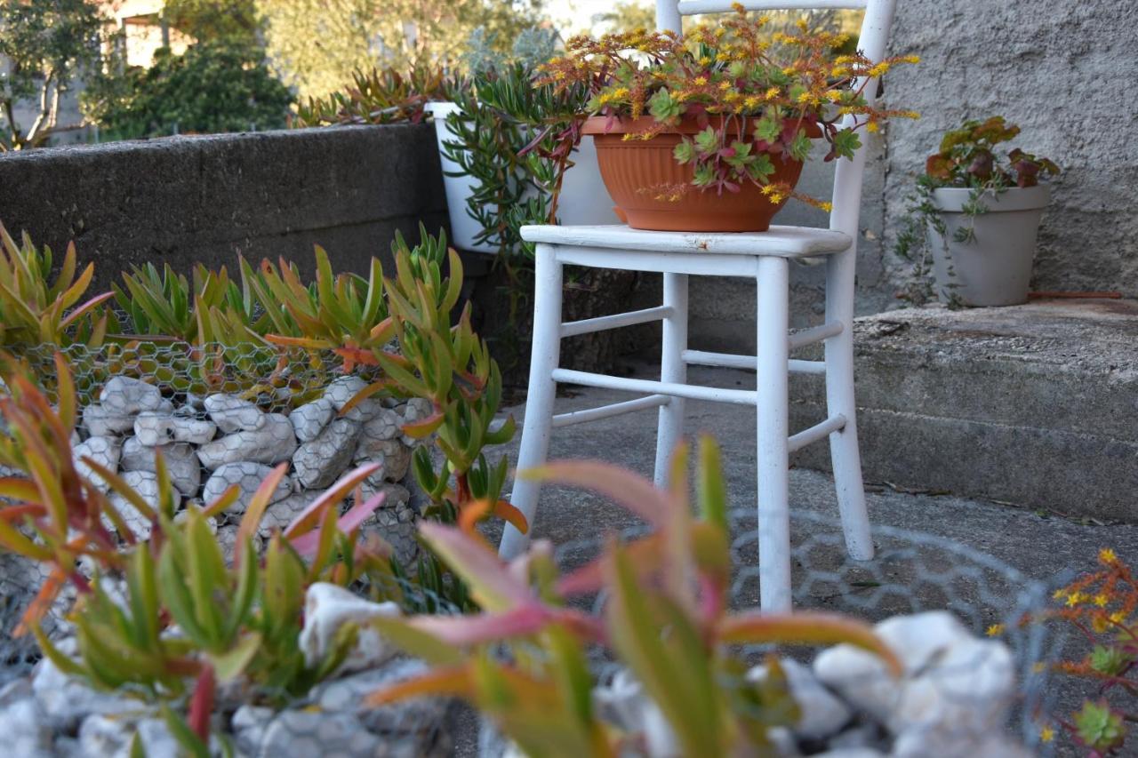 Greenvine Apartment Zadar Buitenkant foto